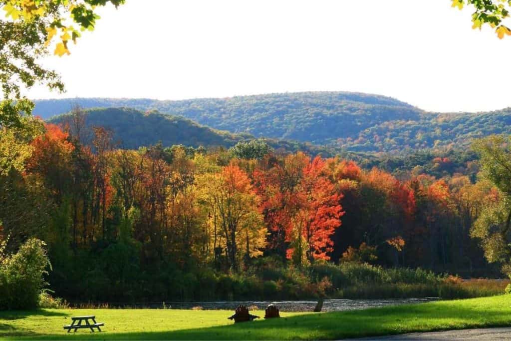 Exterior view of Hampton Inn & Suites Berkshires-Lenox with open green lawn and forested backdrop – a peaceful gateway to the Berkshire Mountains.